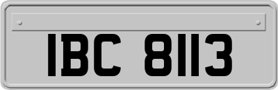 IBC8113