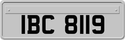 IBC8119