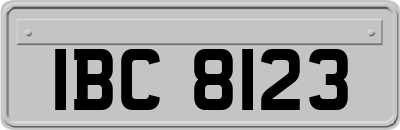 IBC8123