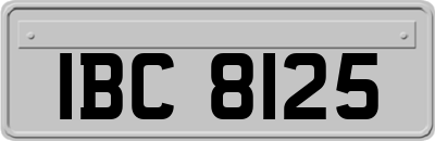 IBC8125