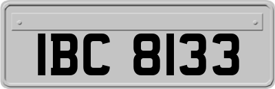 IBC8133