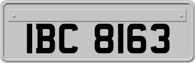 IBC8163