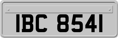 IBC8541