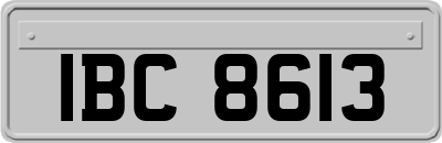 IBC8613