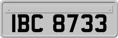 IBC8733