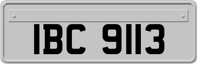 IBC9113