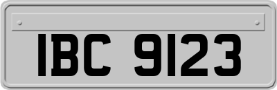 IBC9123