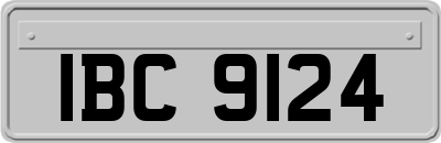 IBC9124