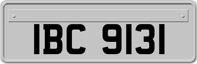 IBC9131