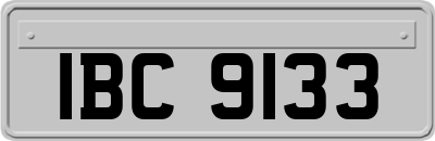 IBC9133