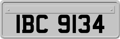 IBC9134