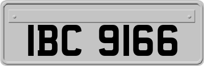 IBC9166