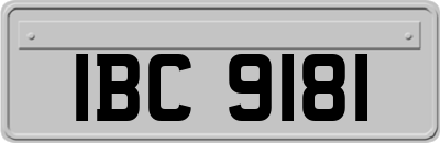 IBC9181