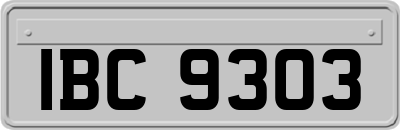 IBC9303