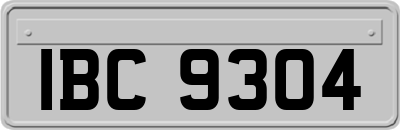 IBC9304