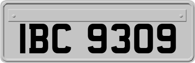 IBC9309