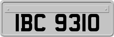 IBC9310