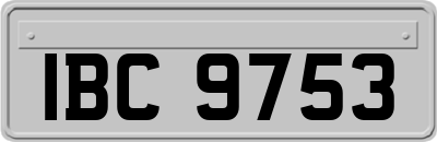 IBC9753