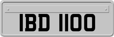 IBD1100