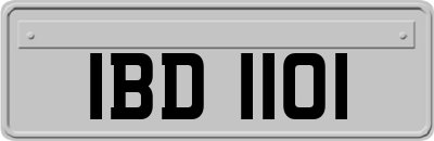 IBD1101