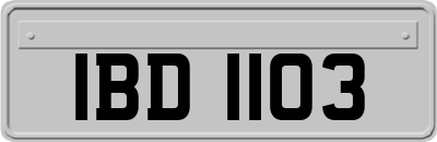 IBD1103