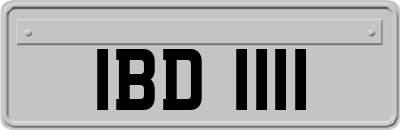 IBD1111