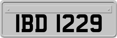 IBD1229