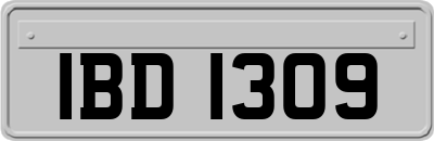 IBD1309