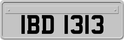 IBD1313