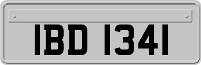 IBD1341