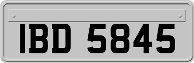 IBD5845