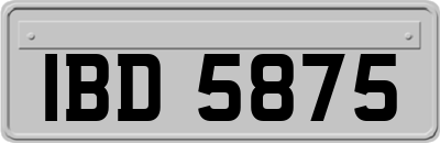 IBD5875