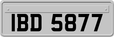 IBD5877