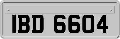 IBD6604