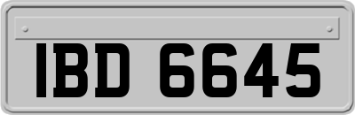 IBD6645