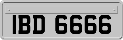 IBD6666