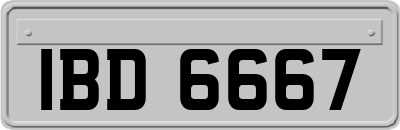 IBD6667