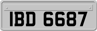 IBD6687