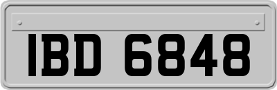 IBD6848