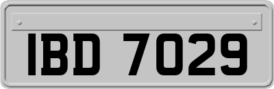 IBD7029