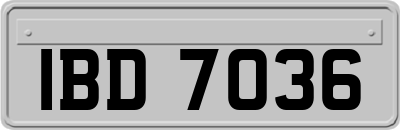 IBD7036