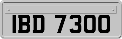 IBD7300