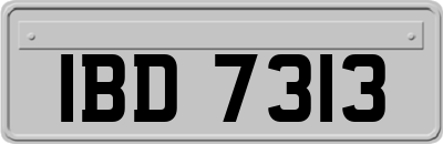 IBD7313