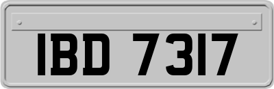 IBD7317