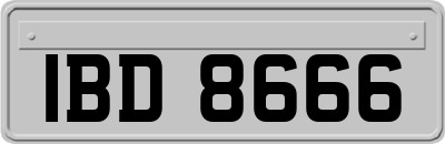 IBD8666