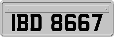 IBD8667