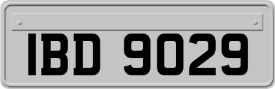 IBD9029