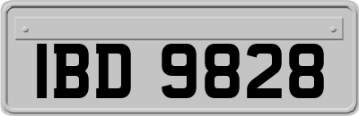 IBD9828