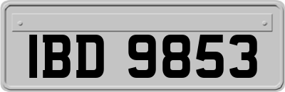 IBD9853