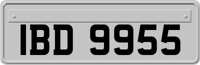 IBD9955